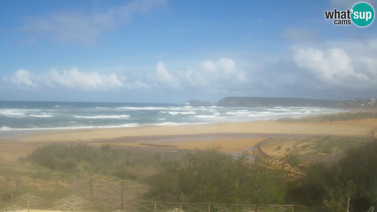 Webcam Torre dei Corsari – Live Beach View from Punta Usai