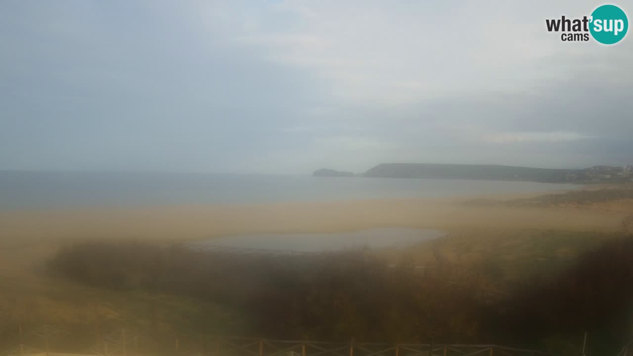 Webcam Torre dei Corsari – Live Beach View from Punta Usai