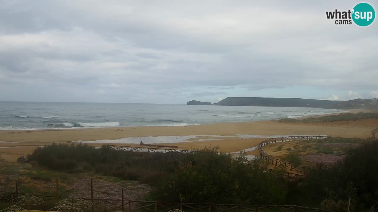 Webcam Torre dei Corsari – Live Beach View from Punta Usai