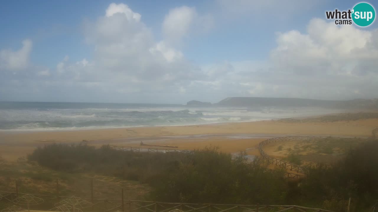 Webcam Torre dei Corsari – Live Beach View from Punta Usai