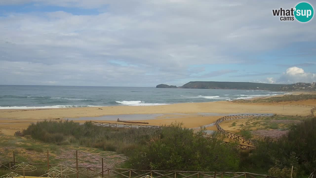 Webcam Torre dei Corsari – Live Beach View from Punta Usai
