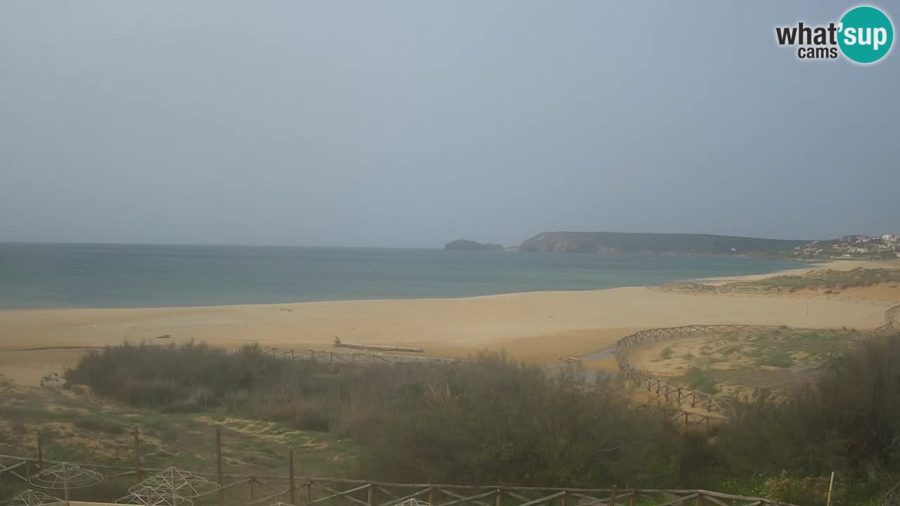 Webcam Torre dei Corsari – Live Beach View from Punta Usai