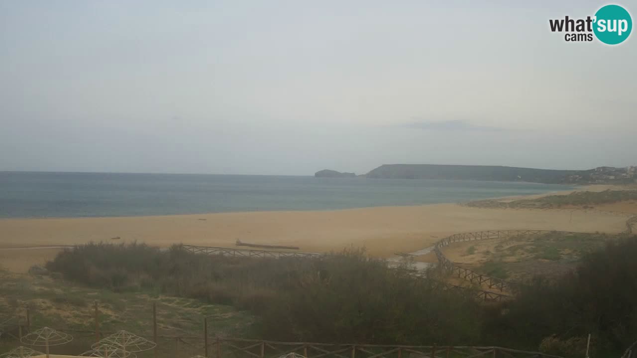 Webcam Torre dei Corsari – Live Beach View from Punta Usai