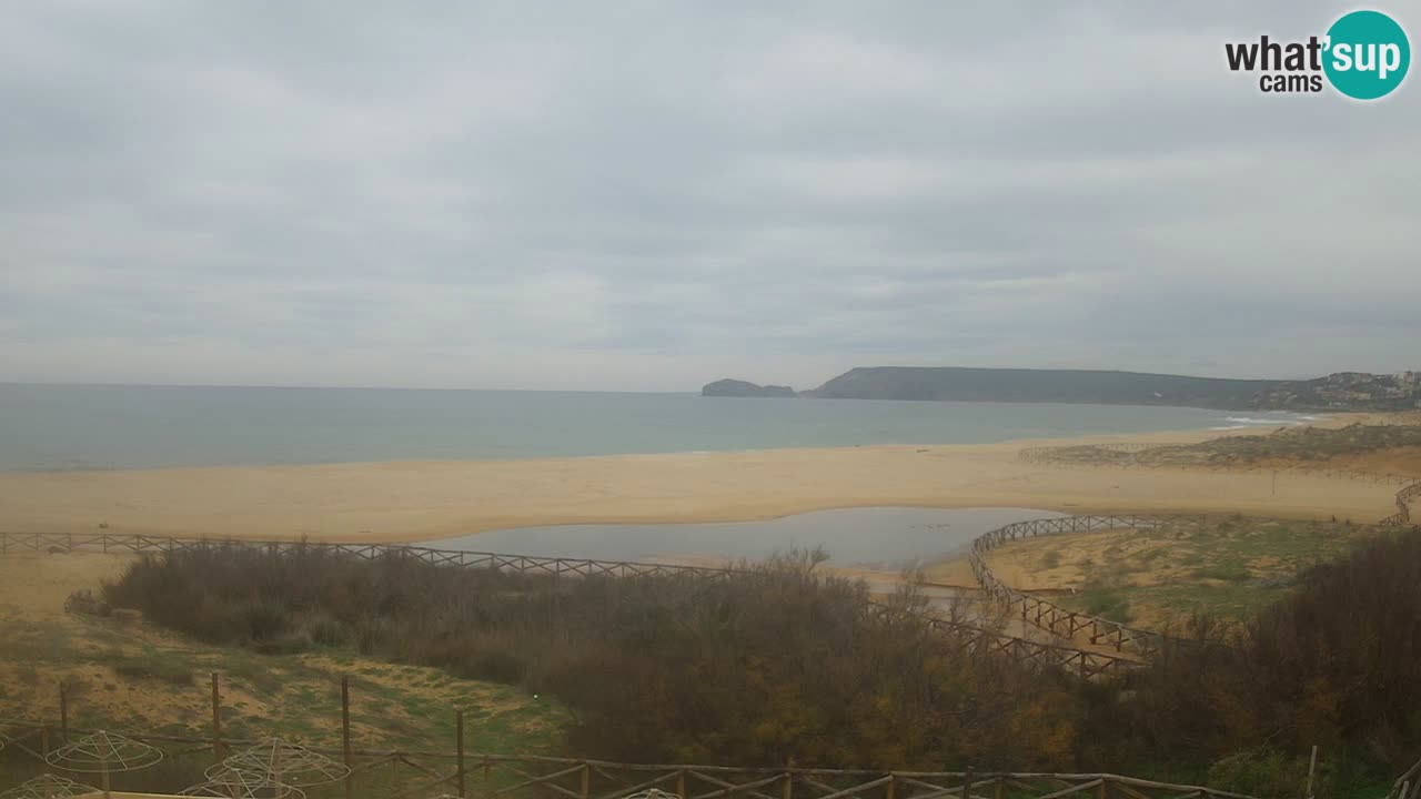 Webcam Torre dei Corsari – Live Beach View from Punta Usai