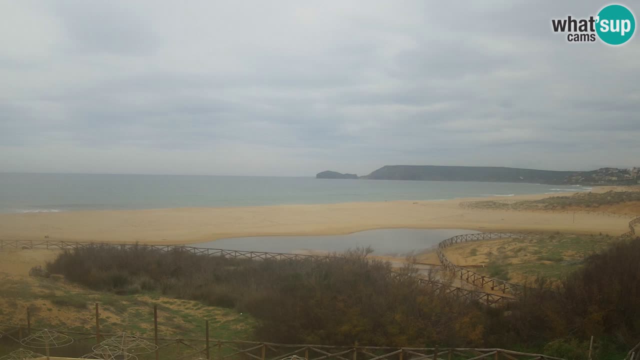 Webcam Torre dei Corsari – Live Beach View from Punta Usai