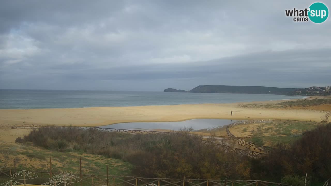 Webcam Torre dei Corsari – Live Beach View from Punta Usai