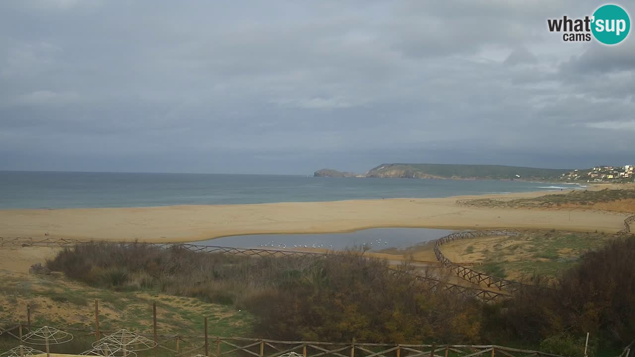 Webcam Torre dei Corsari – Vista live sulla spiaggia da Punta Usai