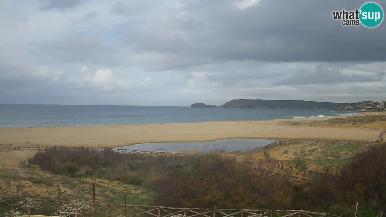 Web kamera Torre dei Corsari – Pogled uživo na plažu s Punta Usai
