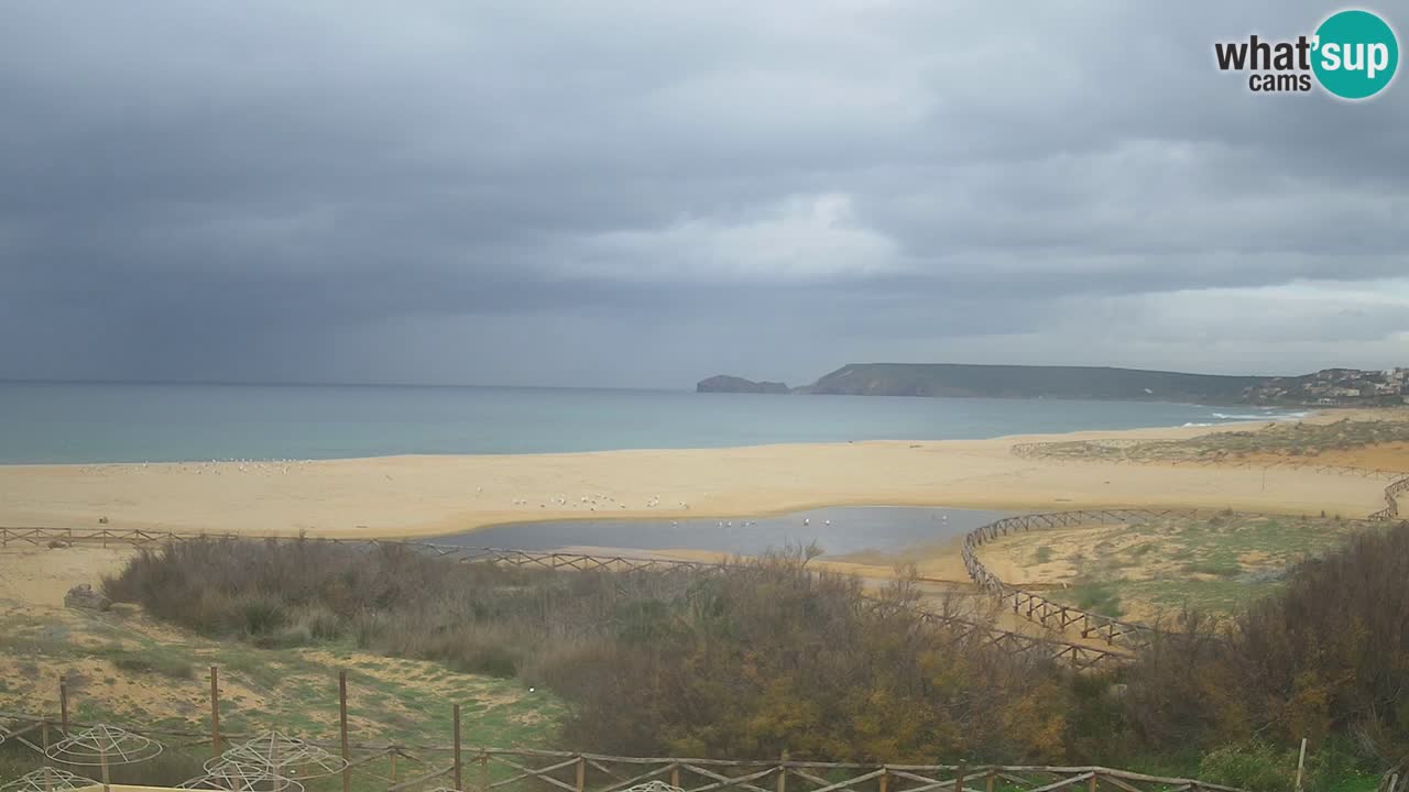Webcam Torre dei Corsari – Live Beach View from Punta Usai