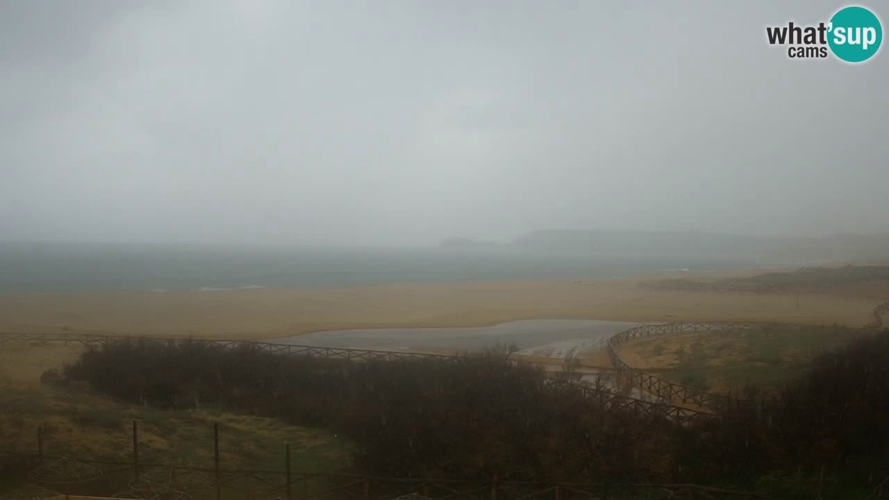 Webcam Torre dei Corsari – Live Beach View from Punta Usai