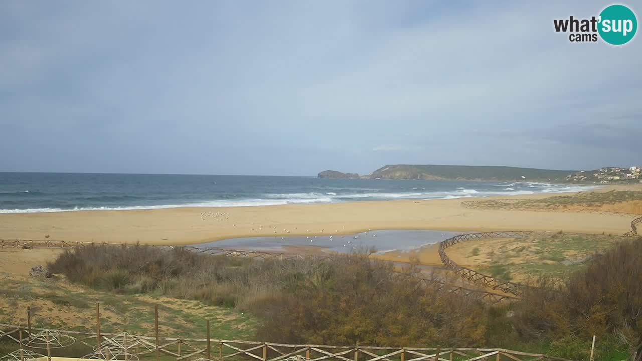 Webcam Torre dei Corsari – Vista live sulla spiaggia da Punta Usai