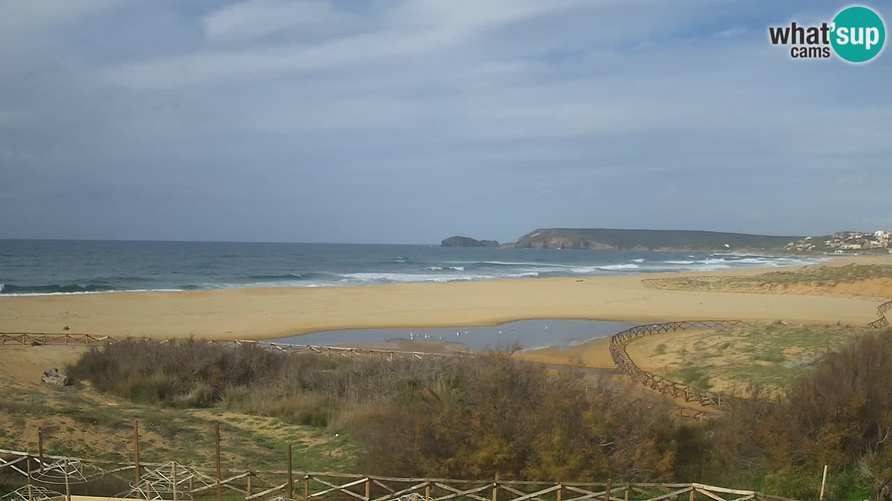 Webcam Torre dei Corsari – Liveblick auf den Strand von Punta Usai