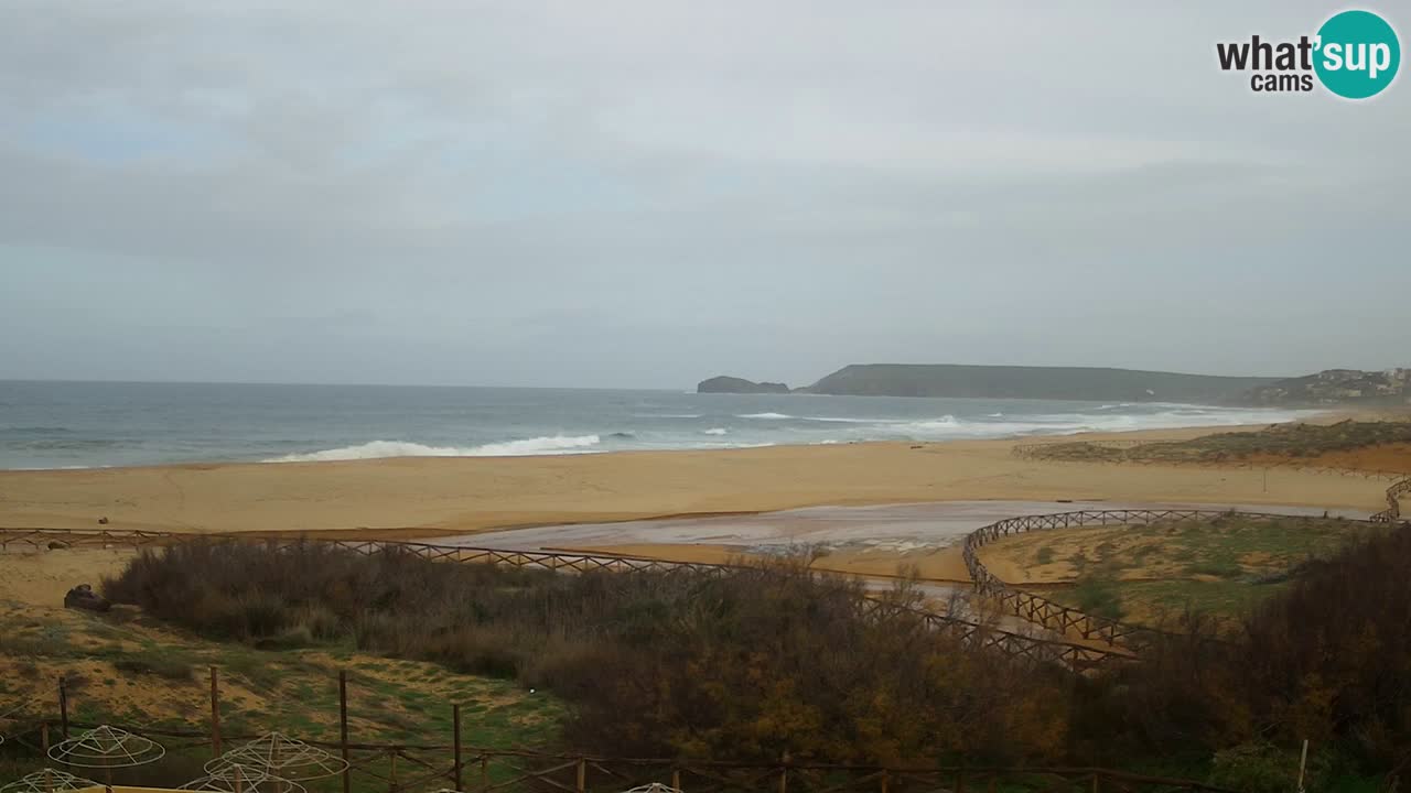 Webcam Torre dei Corsari – Live Beach View from Punta Usai