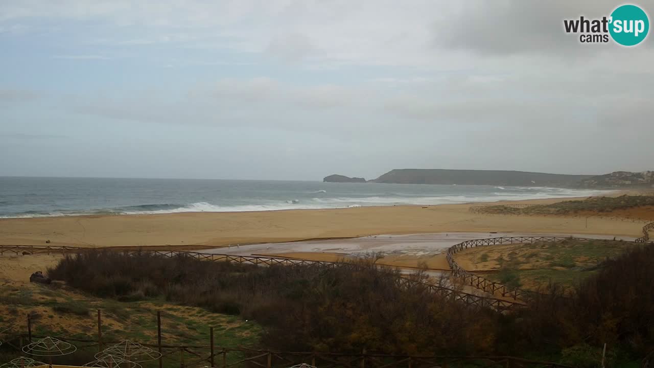 Webcam Torre dei Corsari – Live Beach View from Punta Usai