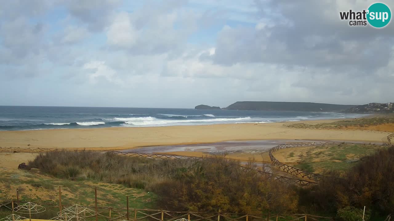 Webcam Torre dei Corsari – Live Beach View from Punta Usai