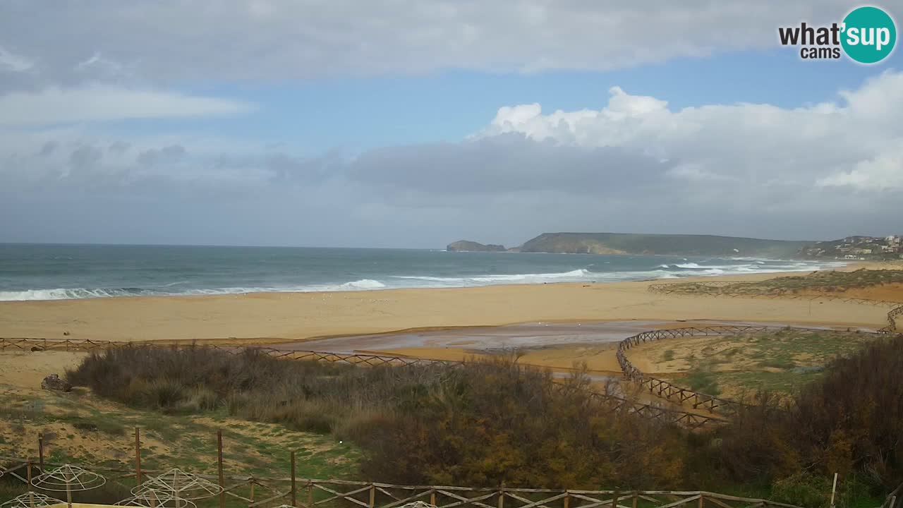 Web kamera Torre dei Corsari – Pogled uživo na plažu s Punta Usai