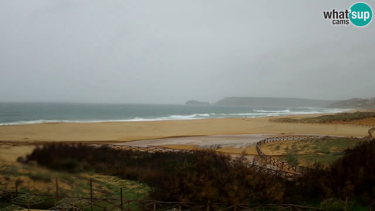 Webcam Torre dei Corsari – Live Beach View from Punta Usai