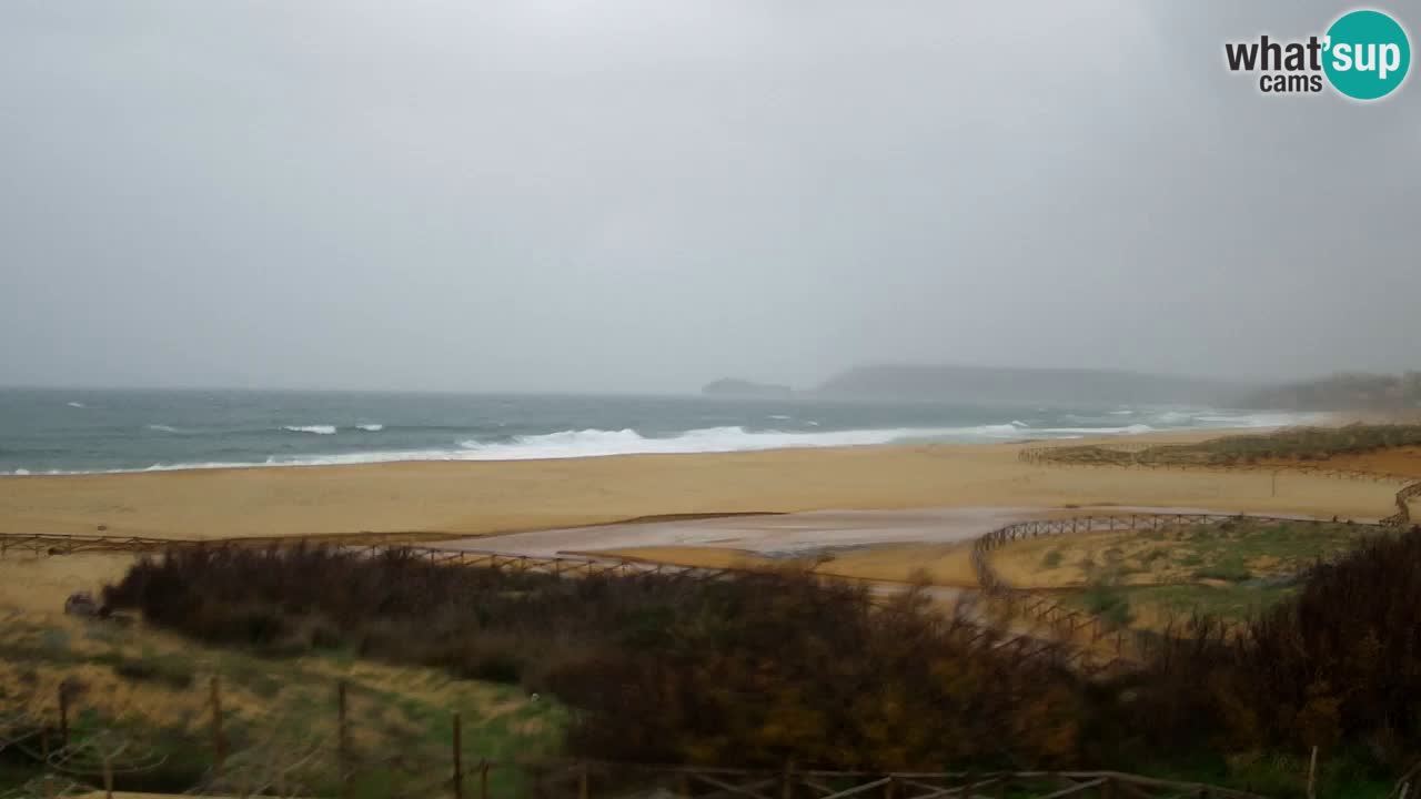 Webcam Torre dei Corsari – Live Beach View from Punta Usai