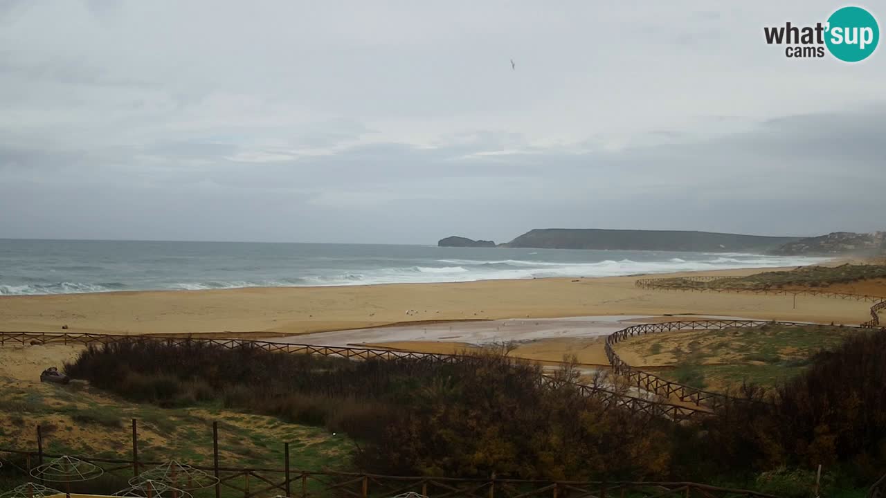Webcam Torre dei Corsari – Vista live sulla spiaggia da Punta Usai