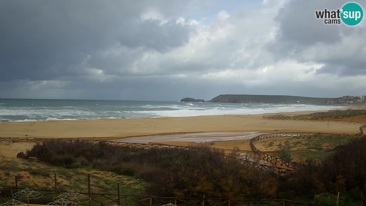 Webcam Torre dei Corsari – Live Beach View from Punta Usai