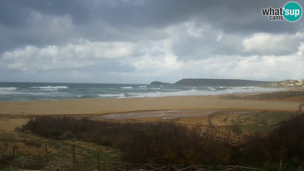 Webcam Torre dei Corsari – Live Beach View from Punta Usai