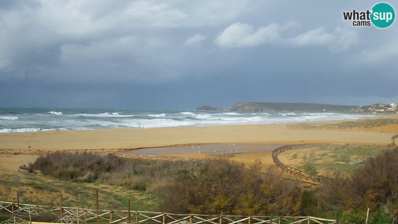 Spletna kamera Torre dei Corsari – Pogled v živo na plažo s Punta Usai