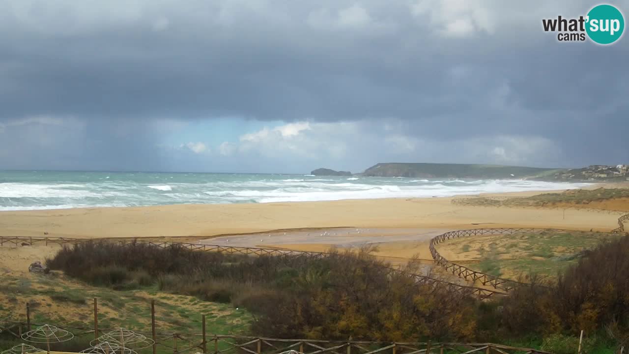 Webcam Torre dei Corsari – Live Beach View from Punta Usai
