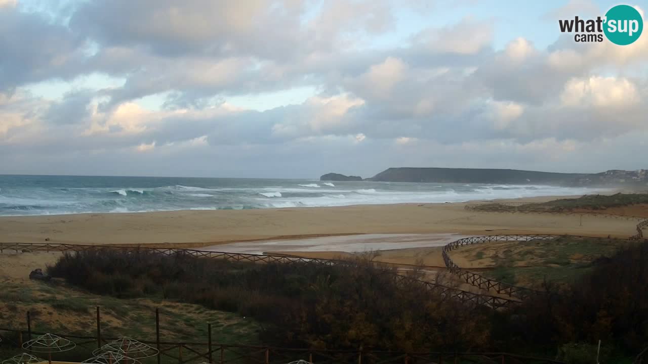 Web kamera Torre dei Corsari – Pogled uživo na plažu s Punta Usai