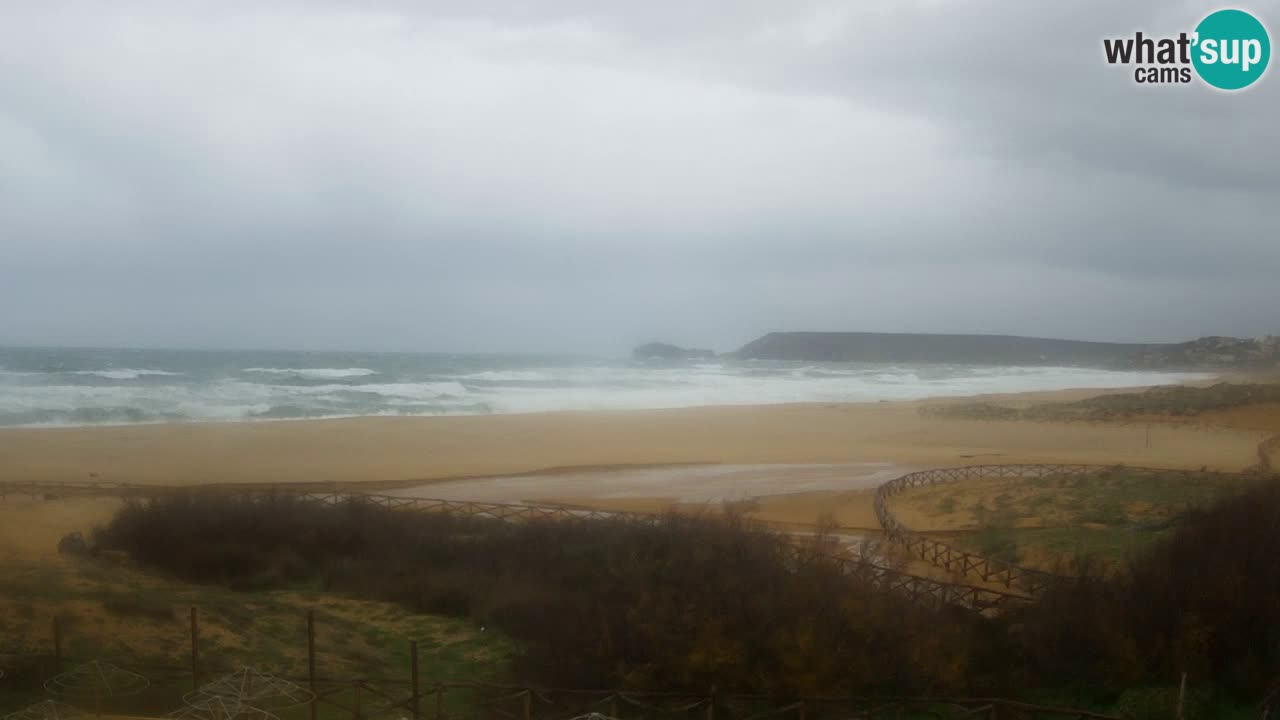 Webcam Torre dei Corsari – Live Beach View from Punta Usai