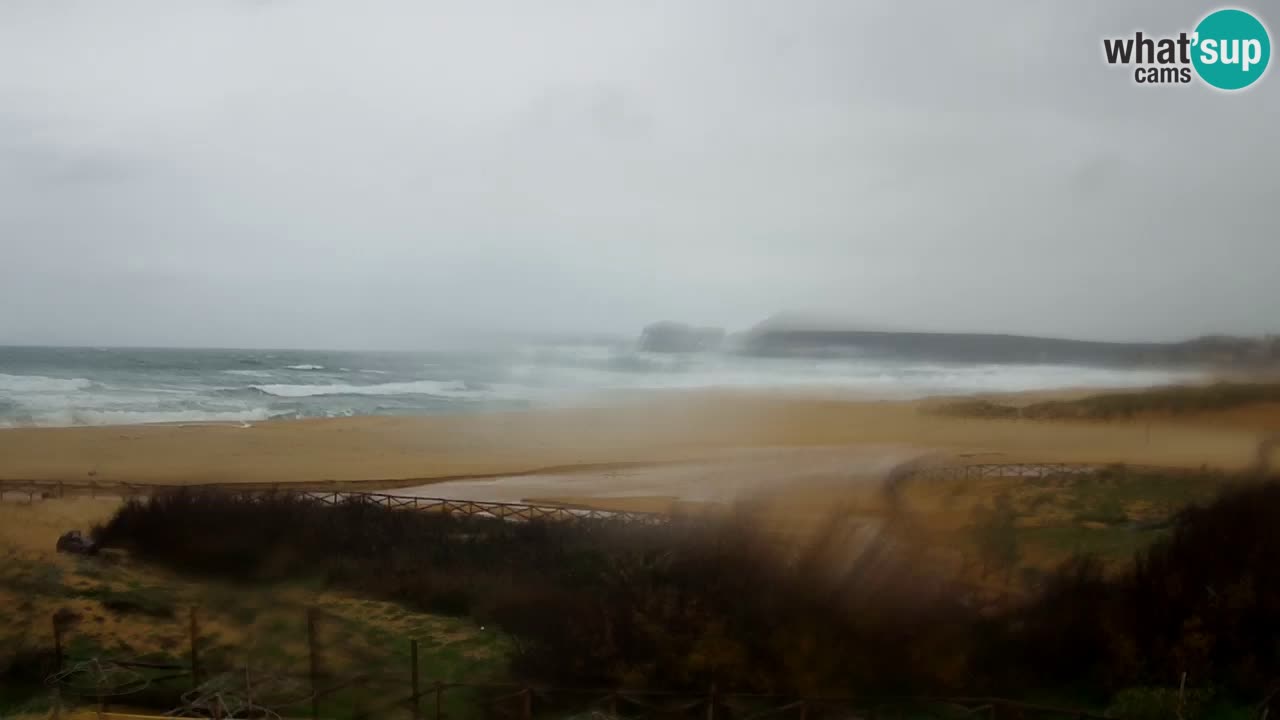 Webcam Torre dei Corsari – Liveblick auf den Strand von Punta Usai