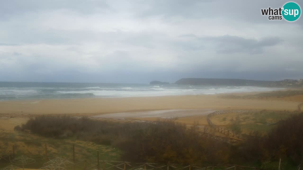 Webcam Torre dei Corsari – Live Beach View from Punta Usai