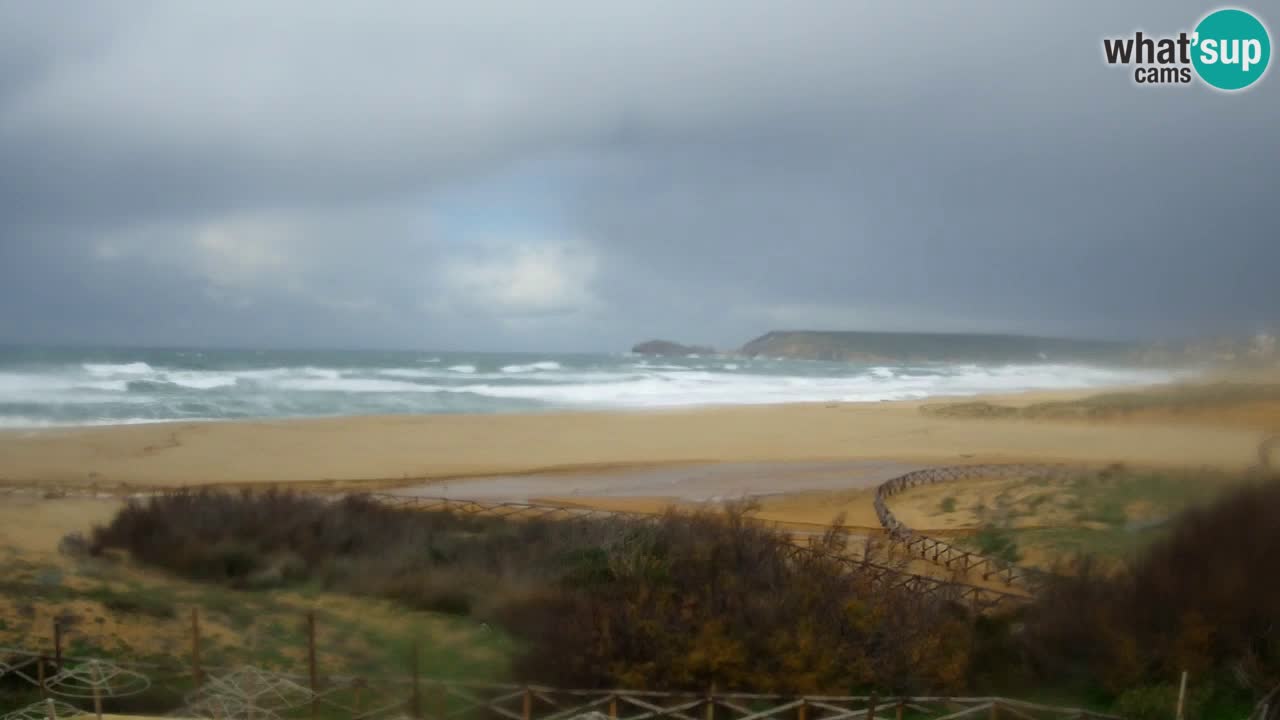 Webcam Torre dei Corsari – Live Beach View from Punta Usai