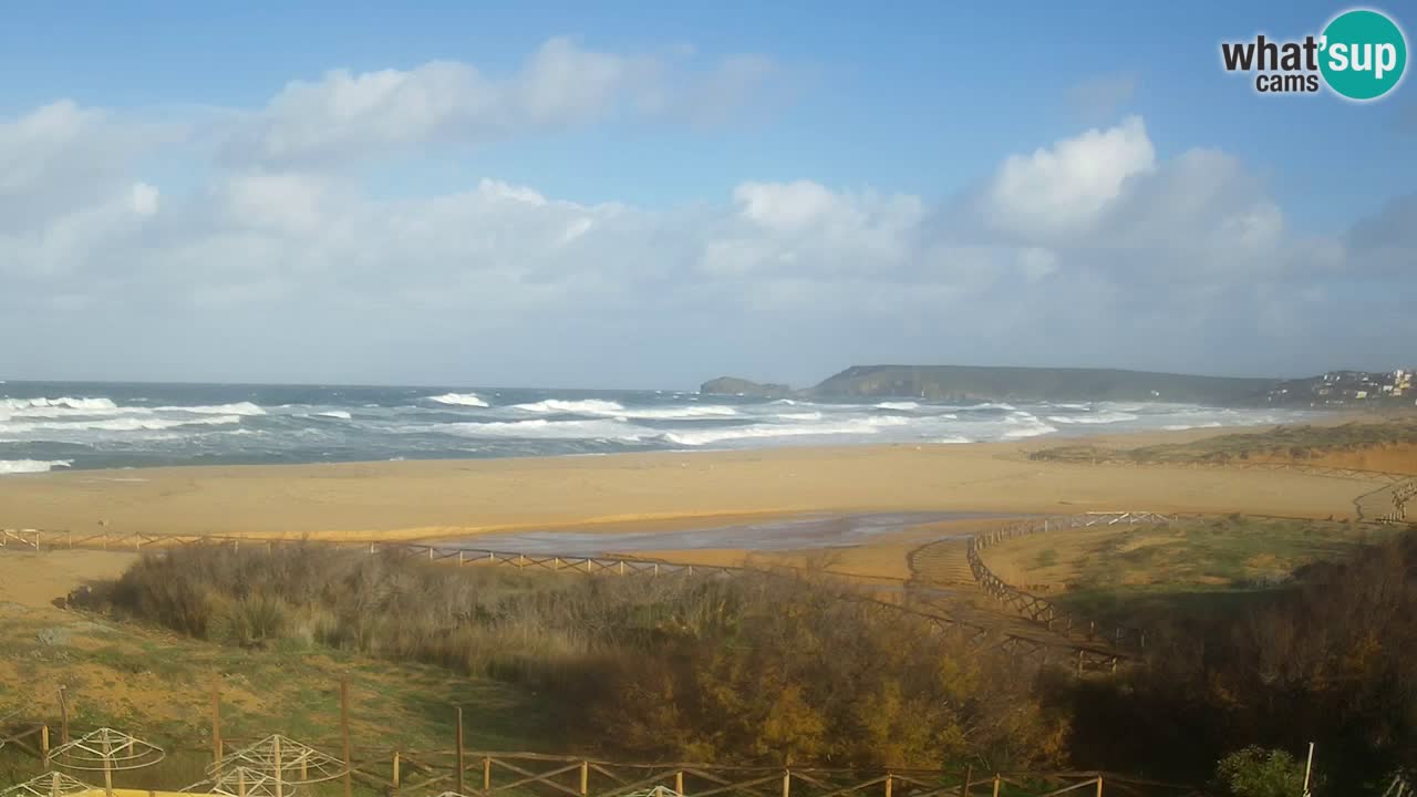 Webcam Torre dei Corsari – Live Beach View from Punta Usai
