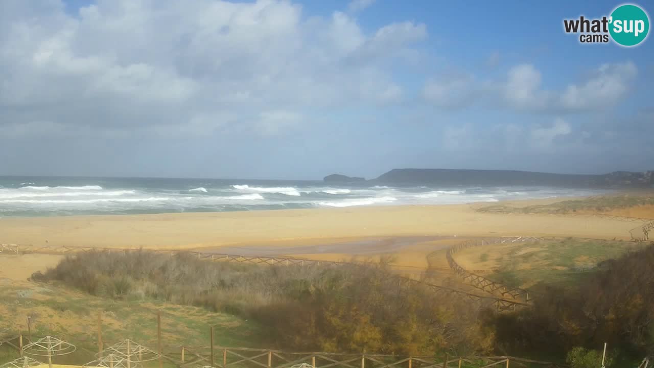 Webcam Torre dei Corsari – Live Beach View from Punta Usai