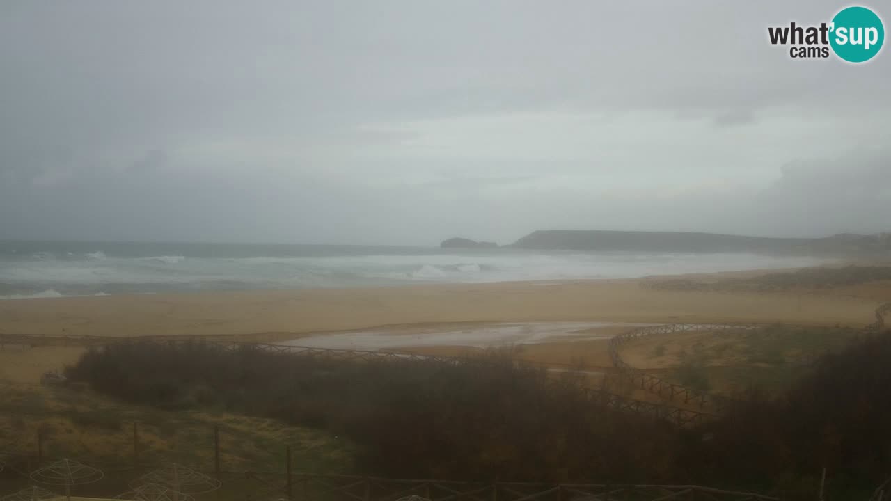 Webcam Torre dei Corsari – Live Beach View from Punta Usai