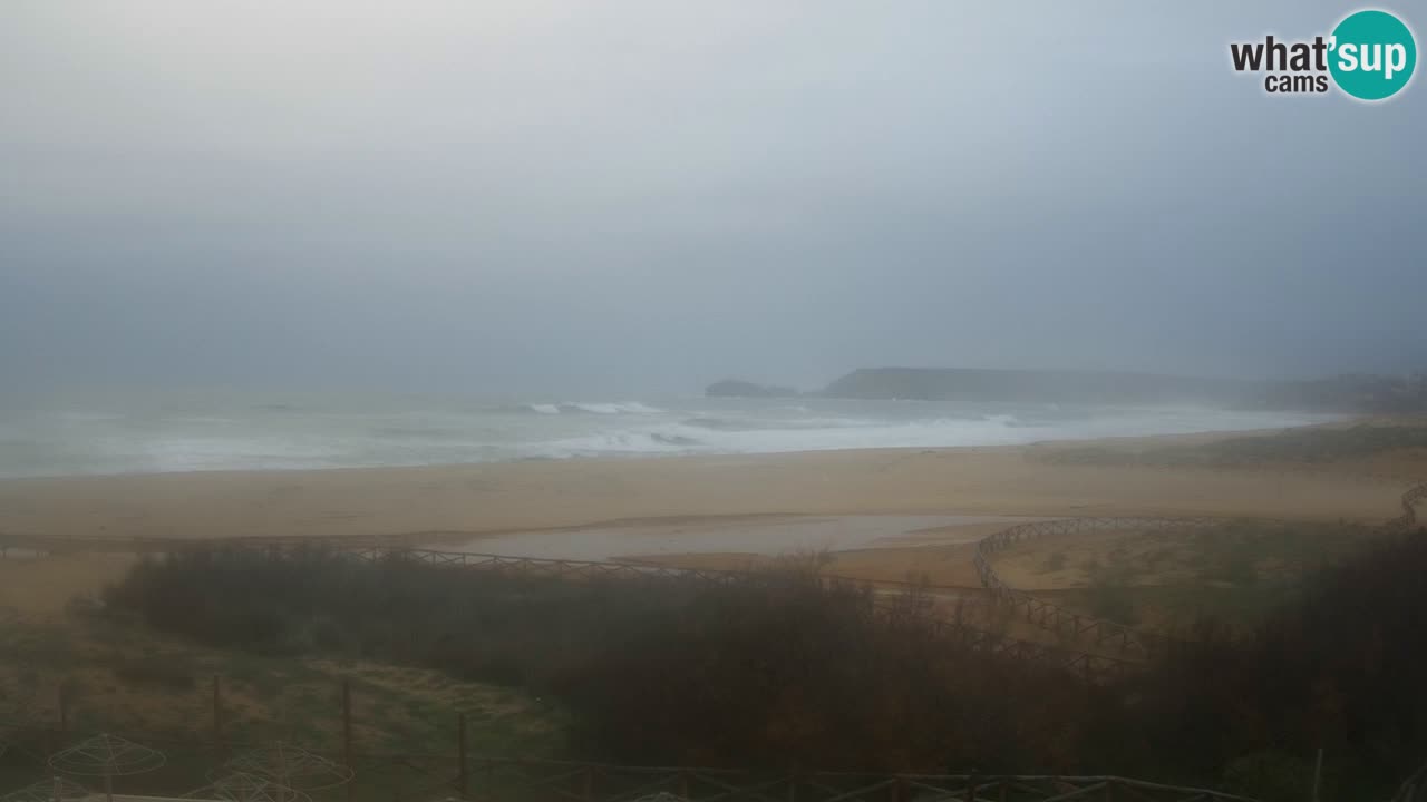 Webcam Torre dei Corsari – Live Beach View from Punta Usai