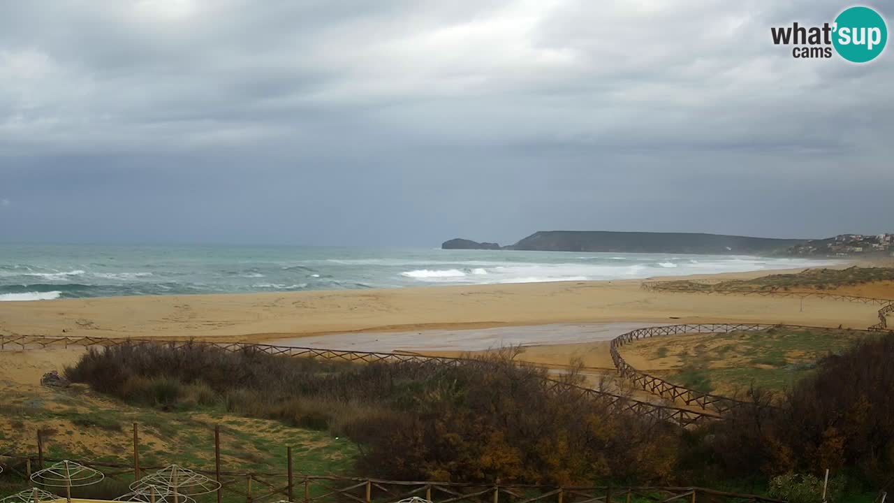 Webcam Torre dei Corsari – Live Beach View from Punta Usai