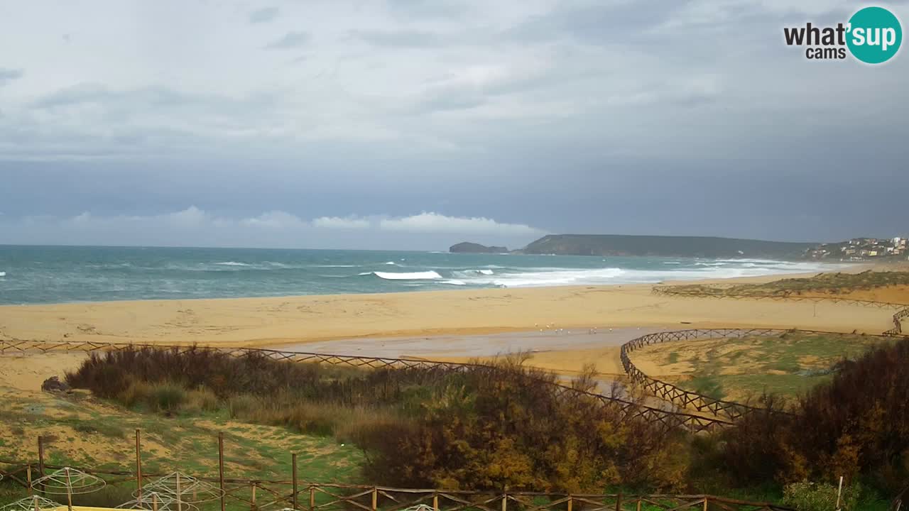 Webcam Torre dei Corsari – Live Beach View from Punta Usai