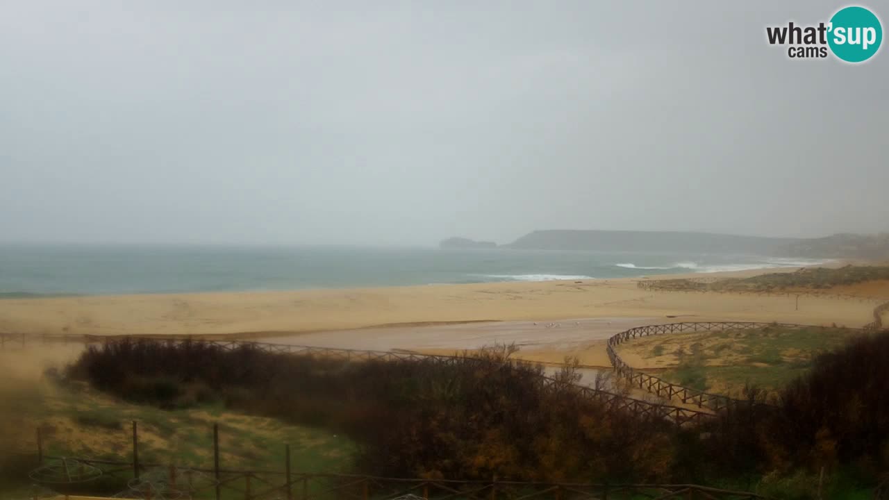 Webcam Torre dei Corsari – Live Beach View from Punta Usai