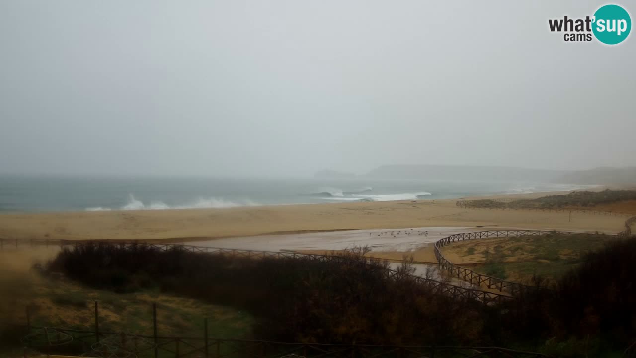 Webcam Torre dei Corsari – Live Beach View from Punta Usai