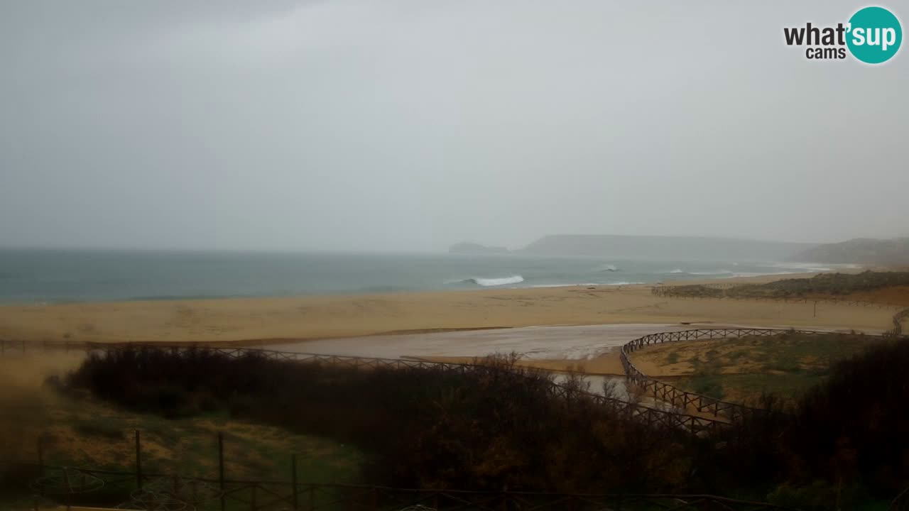 Webcam Torre dei Corsari – Live Beach View from Punta Usai