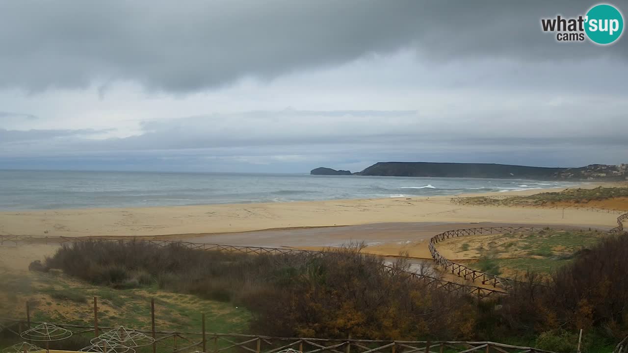 Webcam Torre dei Corsari – Live Beach View from Punta Usai
