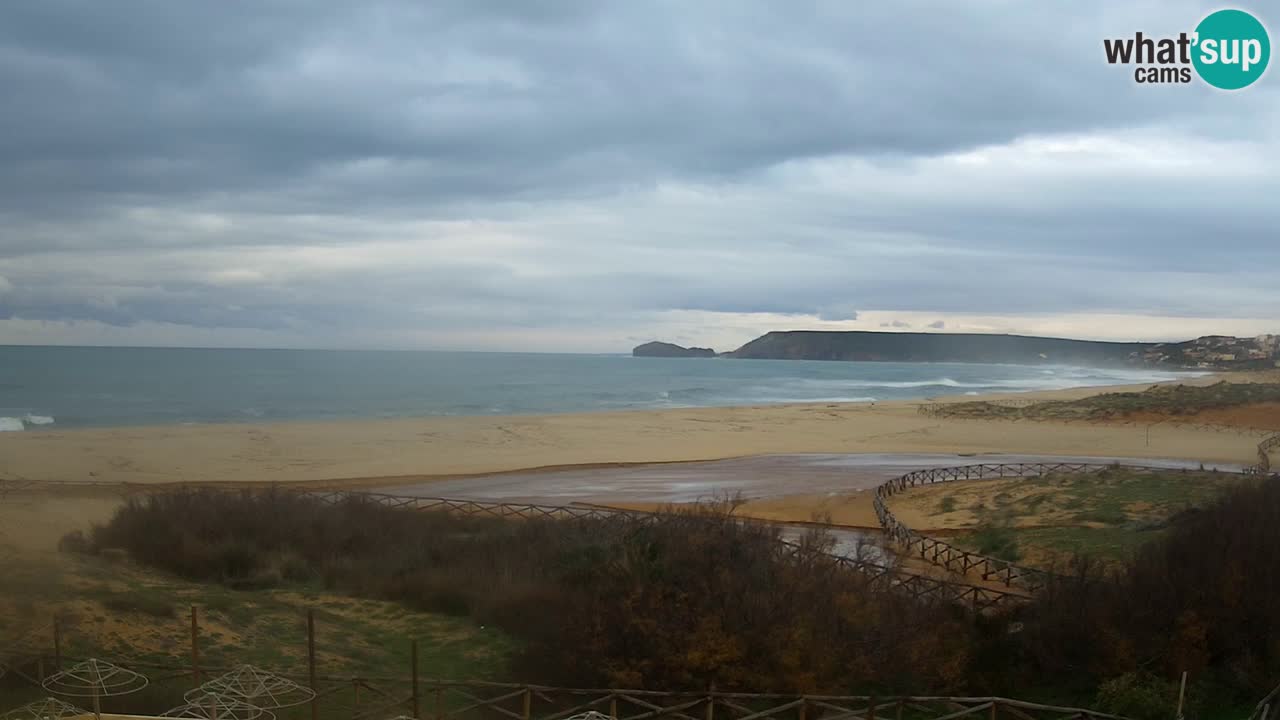 Webcam Torre dei Corsari – Live Beach View from Punta Usai