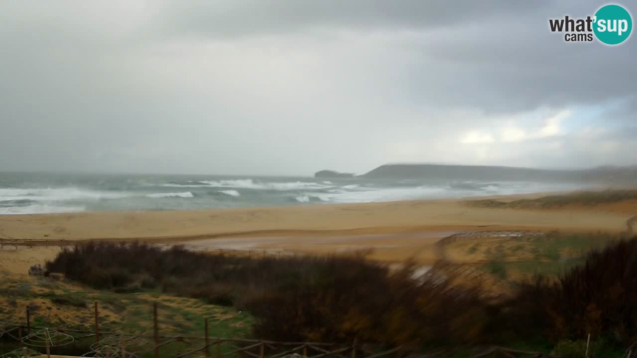 Webcam Torre dei Corsari – Live Beach View from Punta Usai