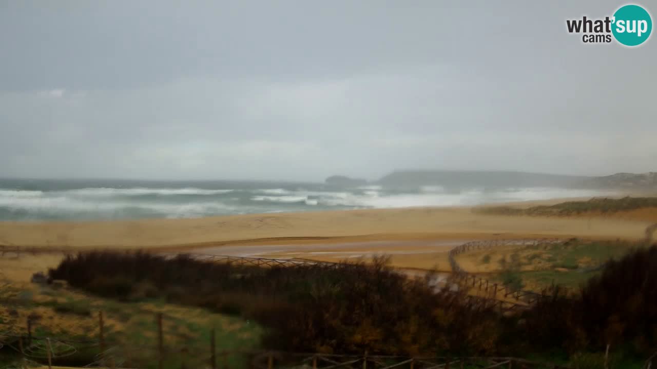 Webcam Torre dei Corsari – Live Beach View from Punta Usai