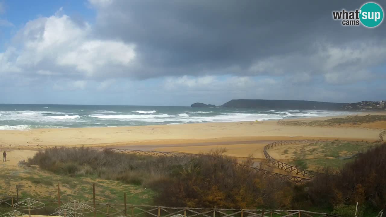 Webcam Torre dei Corsari – Live Beach View from Punta Usai