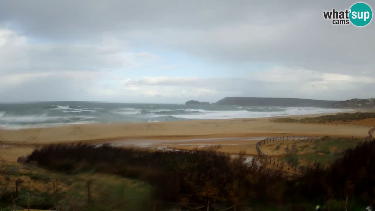 Webcam Torre dei Corsari – Live Beach View from Punta Usai