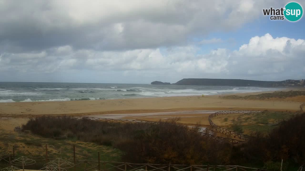 Webcam Torre dei Corsari – Live Beach View from Punta Usai
