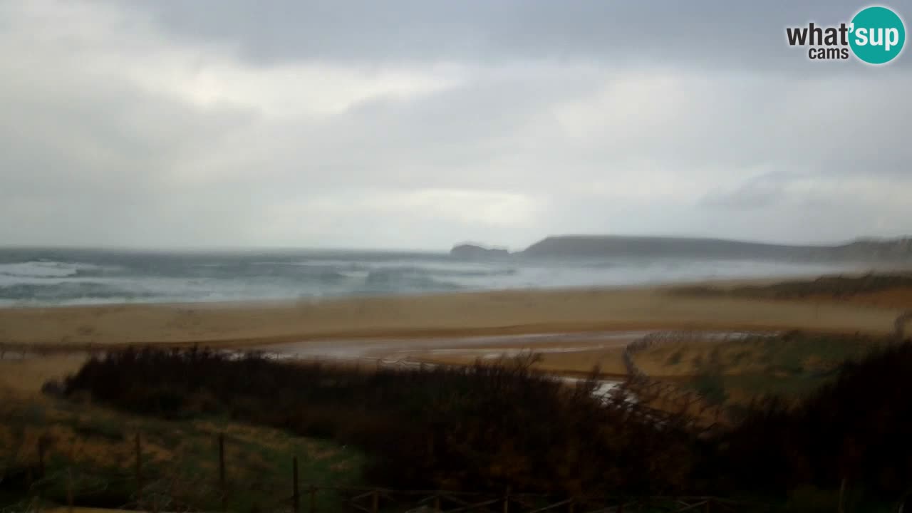 Webcam Torre dei Corsari – Live Beach View from Punta Usai