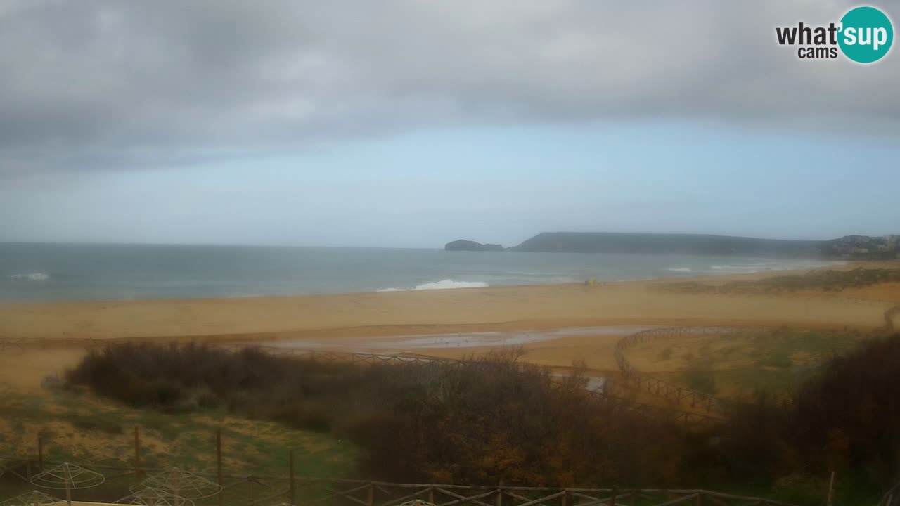 Webcam Torre dei Corsari – Live Beach View from Punta Usai